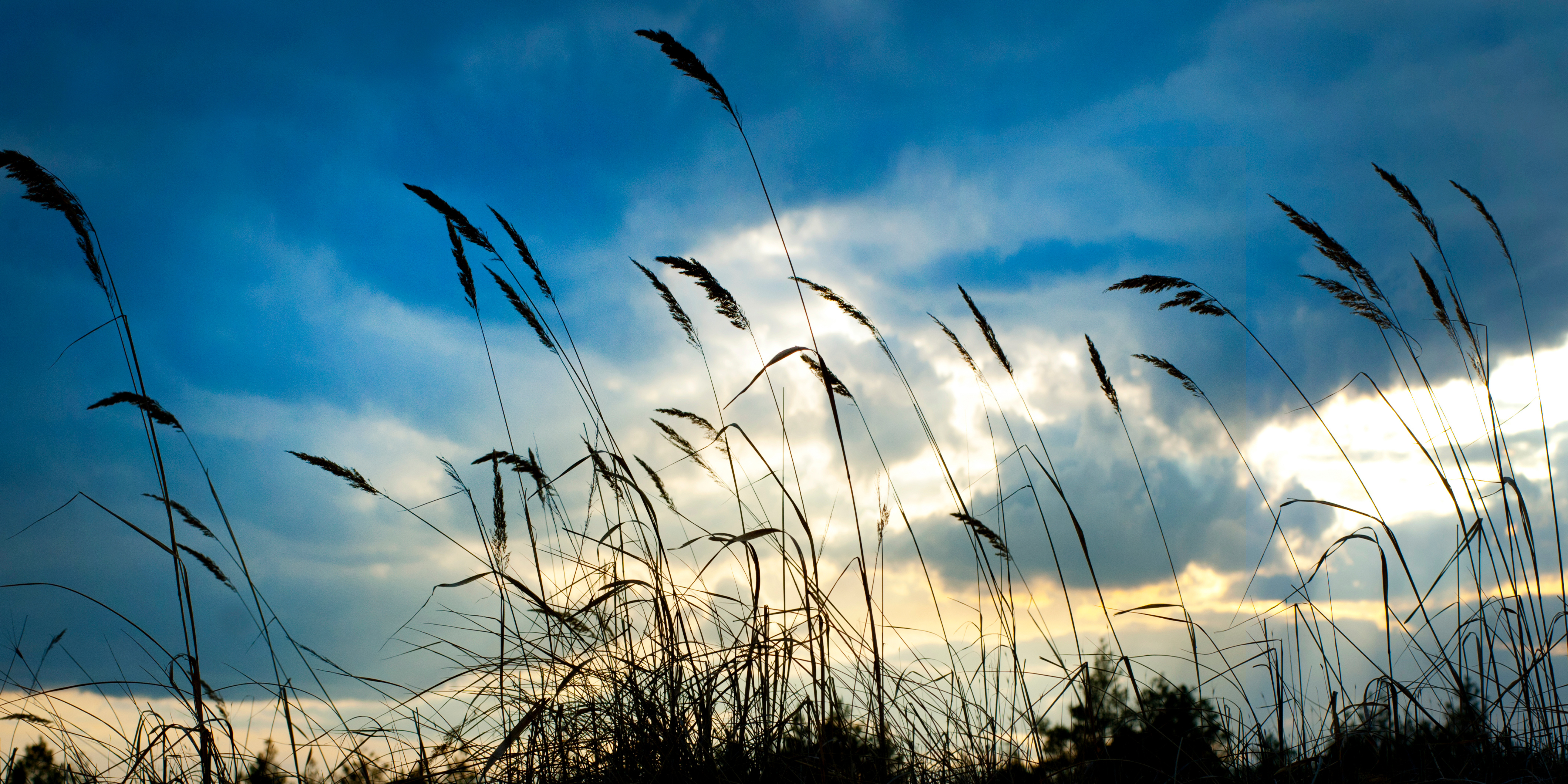 MEASURING WIND POWER POTENTIAL